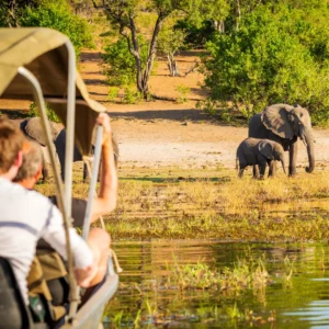 Safari in Africa